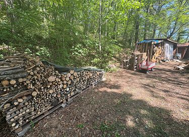 Selbstversorgendes Übernachten im Wald - 28