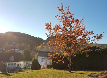 Logement de vacances avec beaucoup d'espace dans le Sauerland - 21