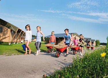  Glamping à la ferme à cheval et à poney - 15
