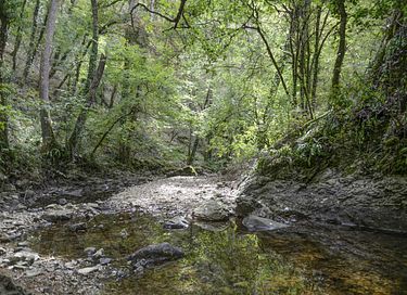Se détendre et profiter de la nature en France - 32