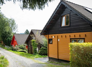 Logement de vacances familial au cœur des Ardennes - 5