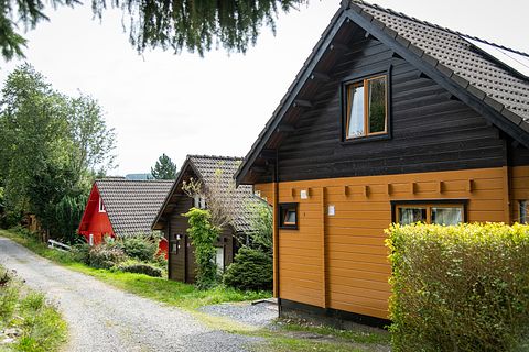 Logement de vacances familial au cœur des Ardennes - 5