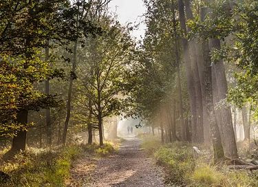 Mooi vakantiehuis vlakbij een Nationaal Park - 25