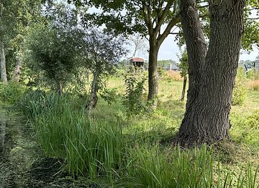 Spend the night in a shepherds hut with wellness - 23