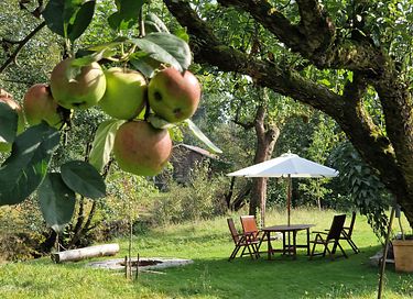 Houten natuurhuis met open haard in Duitsland - 20