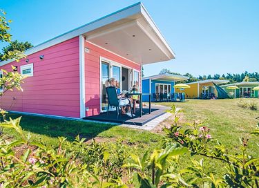 Kleurig chalet voor 4 personen in Gelderland - 9