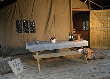 Glamping tent on family campsite near Veluwe - 5