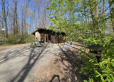 Cozy forest cabin in the Ardennes, dogs welcome - 3