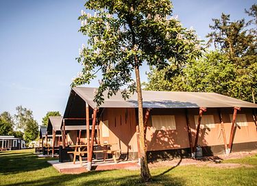 Safari tent for 5 persons in Brabant - 4