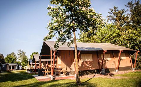 Safari tent for 5 persons in Brabant - 4