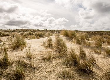 Knus strandhuisje (4p) in Den Haag - 31