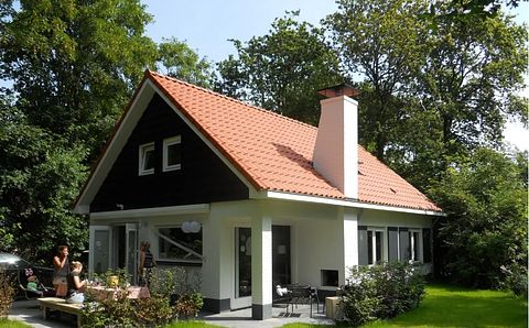 Vebena-Wald 34 - 2