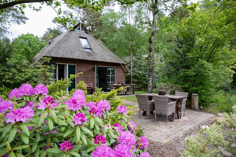 Vakantiehuis met bedstee in de natuur - 1