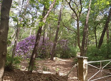 Natuurhuisje in eigen bos met openhaard - 13