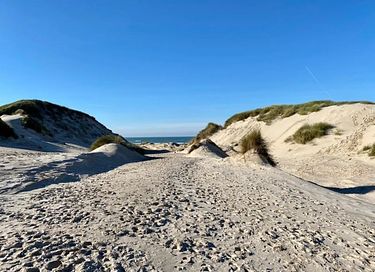 Vakantiehuis vlakbij strand (hond toegestaan) - 34