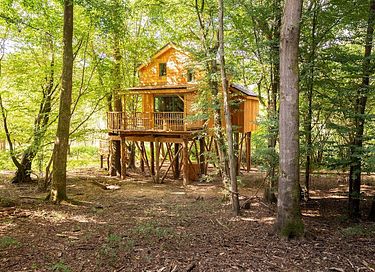 Boomhut (4p) met hottub in de Ardennen - 5