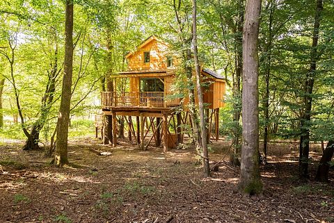 Boomhut (4p) met hottub in de Ardennen - 5