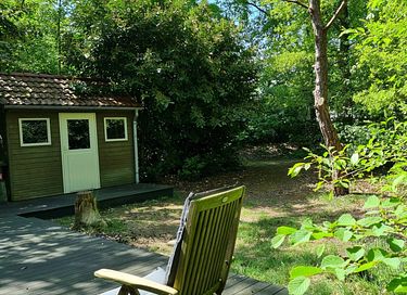 Maison dans la forêt avec sauna à Vechtdal - 16