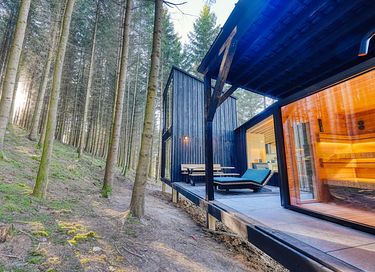 Luxury treehouse with sauna in the Ardennes - 13