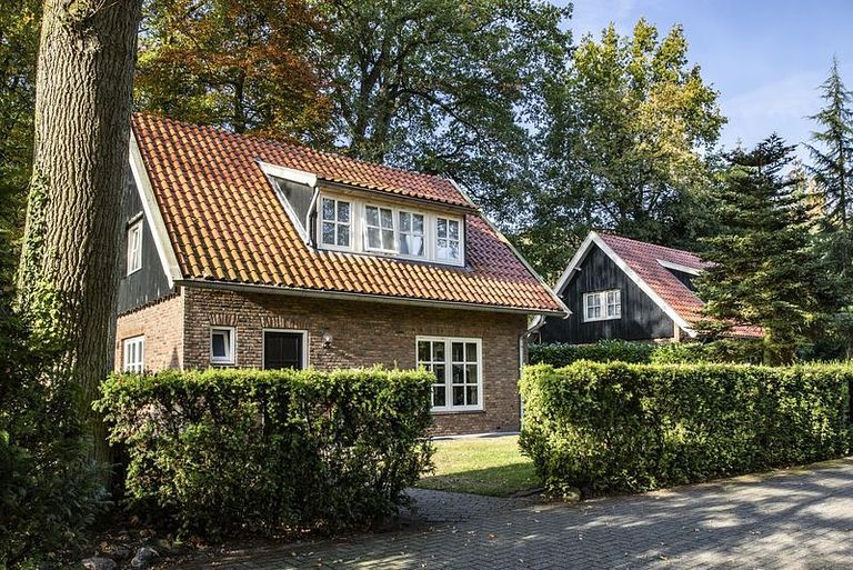 Ferienhaus in Overijssel in Waldnähe - 1