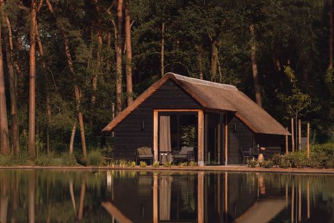 Waldstudio (2 Personen) mit freistehender Badewanne - 3