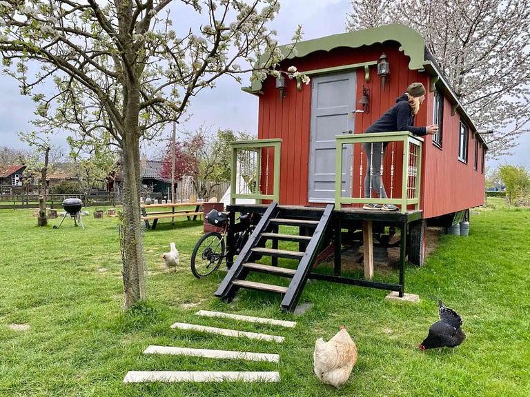 Slapen tussen de schapen in unieke pipowagen  - 1
