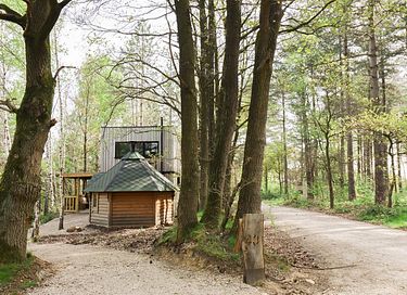 Cabin in het bos met saunahuisje - 3