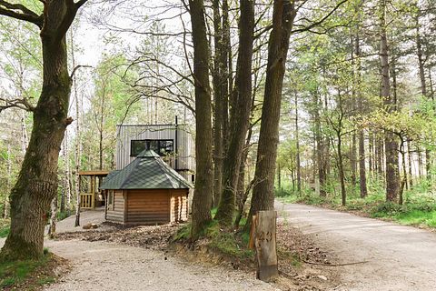 Cabin in het bos met saunahuisje - 3