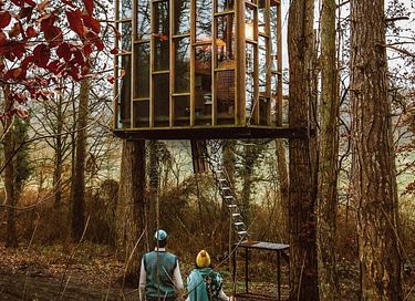 Overnight among the trees in glass cabin - 17