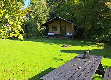 Luxe safaritent voor 4 personen - 29
