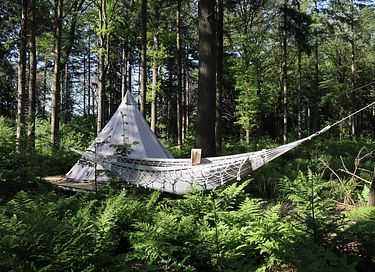 Glamping in de natuur met meditatie/yoga - 4