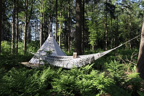 Glamping in de natuur met meditatie/yoga - 4