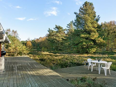 Gezellig vakantiehuis midden in het bos - 2