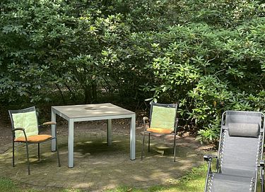 Forest cabin in the Veluwe on park with pool - 27