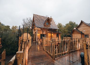 Lodge de luxe dans les arbres avec sauna - 2