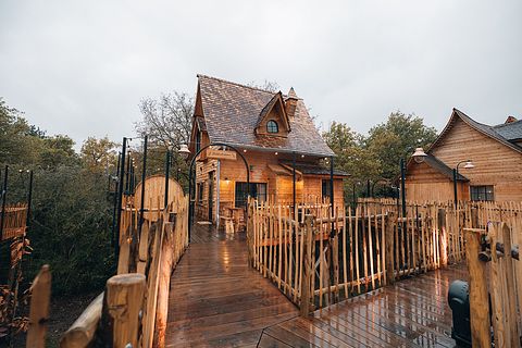 Lodge de luxe dans les arbres avec sauna - 2
