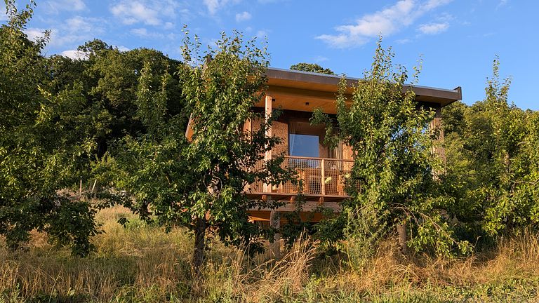Nature Cabin for 2 People - 1