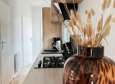 Luxe chalet midden in de Drentse natuur - 9