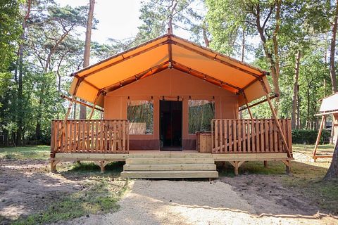 Luxuriöses Safarizelt auf der Veluwe (2p) - 2