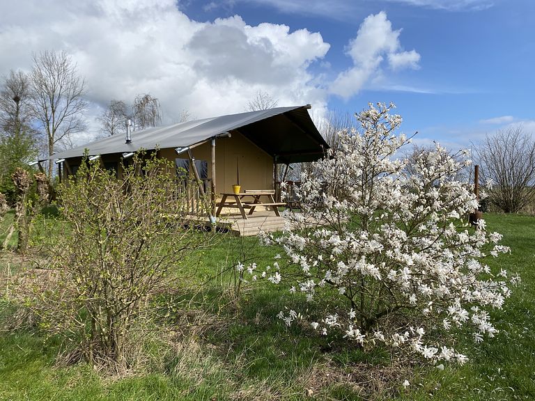 Luxe safaritent in een landelijke omgeving - 1