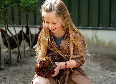 Glamping op een paardenboerderij - 15