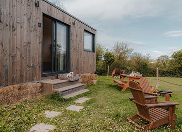 Tiny House zwischen Pferden und Ponys - 4