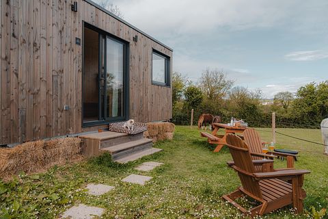 Tiny House zwischen Pferden und Ponys - 4