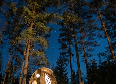 Unique forest cabin in Sweden - 15