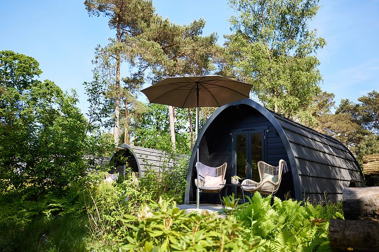 Luxury Pod in the middle of the forest - 1