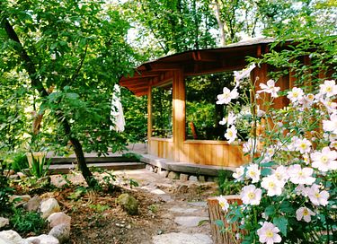 Cabane en bois dans la forêt - 32