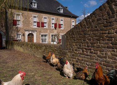 Group lodging (12 pers) in old country house - 2