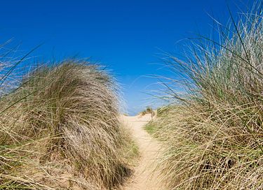 Tente safari dans les dunes de Hollande du Nord - 3