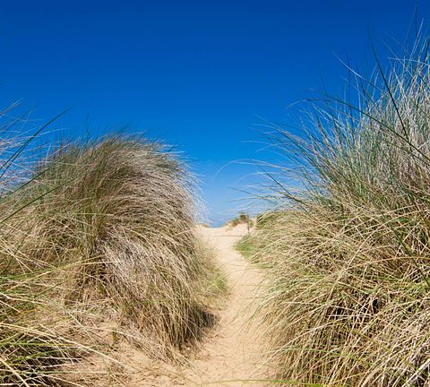 Tente safari dans les dunes de Hollande du Nord - 3