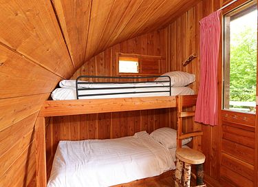Beautiful nature cabin in Gelderland - 3